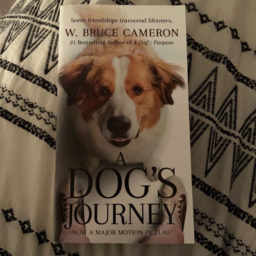 a dogs journey